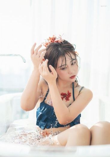 蔡李佛拳