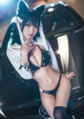 黑猫警长第一部